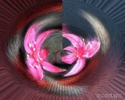 Estrellas...