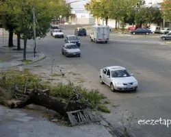 Asi quedó mi barrio