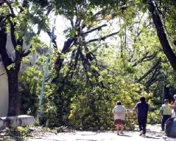 Asi quedó mi barrio