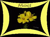 Para moci!!