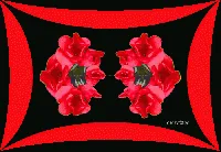Rojo Para El  Jueves!!