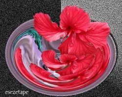 Rojo Para El  Jueves!!