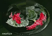 Rojo Para El  Jueves!!