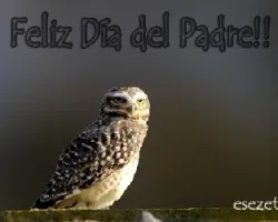 Feliz día del padre!!