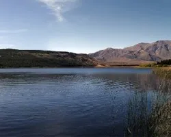 Laguna zeta