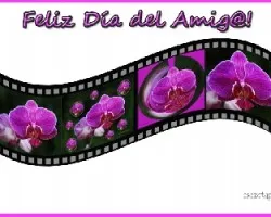 Feliz día del amig@!!