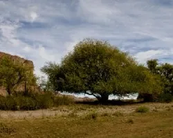 Cañon de la buitrera