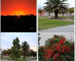 Carhue