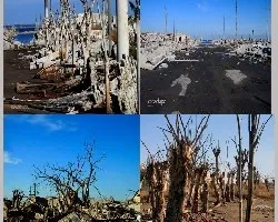 Otras tomas de carhué