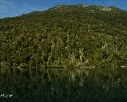Parque nacional los alerces