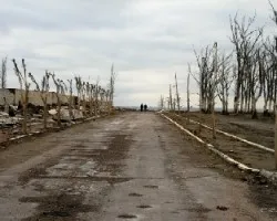 Desolación