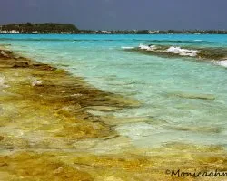 El mar de los 7 colores