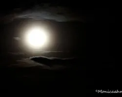 Noche de luna llena