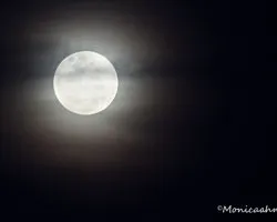 Noche de luna llena