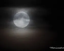 Noche de luna llena