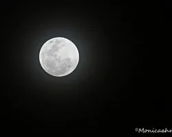 Noche de luna llena