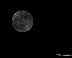 Noche de luna llena