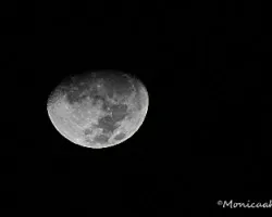 Luna Creciente Mayo 31