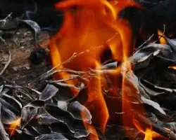Diablito de fuego