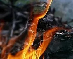 Fuego