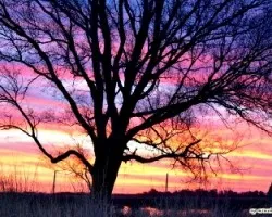 atardecer multicolor