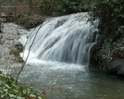 rio piedra