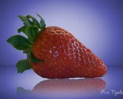 Fresa