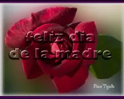 Dia de la madre
