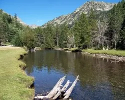 AigíÂ¼es tortes i sant maurici
