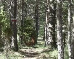 Caminando por el GR-7 - 15-08-2012