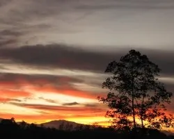 Luz del Alba