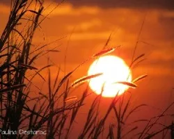 Atardecer de fuego