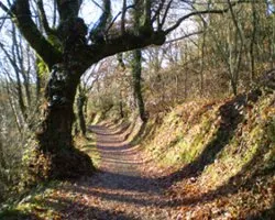 Camino de Santiago