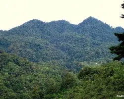 Queverí
