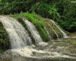 Aguas refrescantes