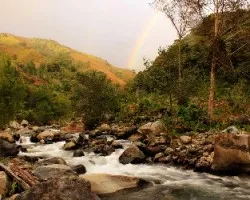Paisaje