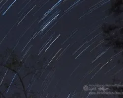 Cielo estrellado ii