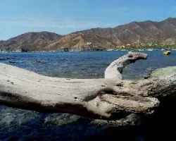 Taganga