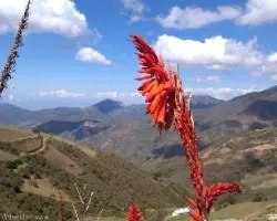 Paseo por trujillo