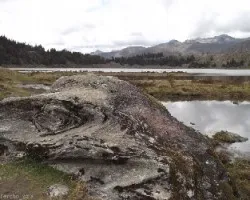 Parque nacional sierra nevada