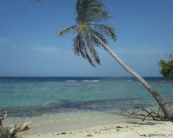 Playuelita