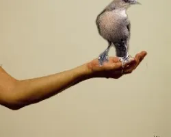 Se quedó quieto!!!