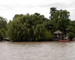 Río tigre