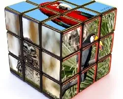 Cubos