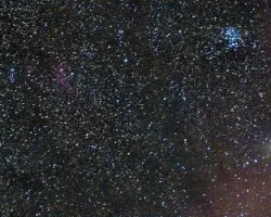 Taurus