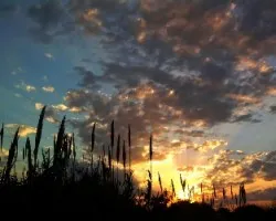 Uruguayan sunset