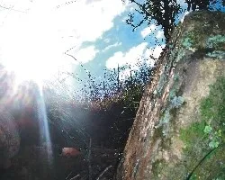 Salida....