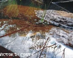 Reflejos