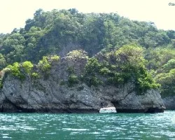 Arco marino