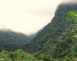Vecinos del duán